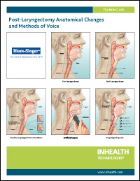 Anatomical Training Aid - English